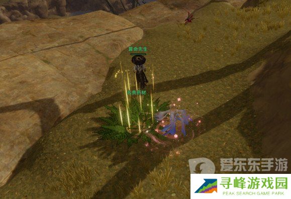 剑网3茸茸怎么获取 茸茸获取方法