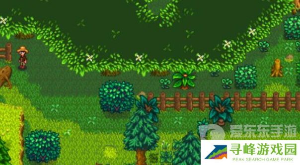 星露谷物语森林怎么解锁 森林解锁方法介绍