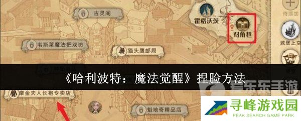 哈利波特魔法觉醒捏脸怎么改 捏脸方法