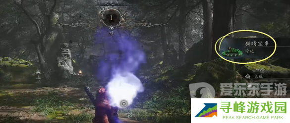 黑神话悟空猫睛宝串如何获取 黑神话悟空猫睛宝串获取方法