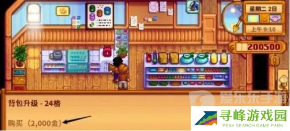 星露谷物语背包格子怎么增加 星露谷物语背包格子增加方法