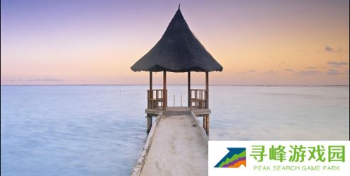 深入探讨：狗与女人的情感锁链，究竟要多久才能解开？