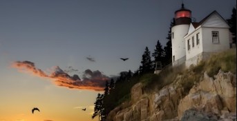 公交车被上高湖了还能坐吗？揭秘免费乘坐政策与处理建议