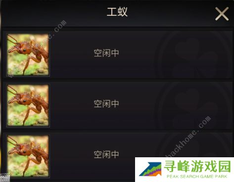 小小蚁国攻略大全 新手少走弯路技巧总汇图片2