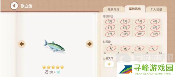 心动小镇欧白鱼钓鱼在哪 心动小镇欧白鱼钓鱼位置分享