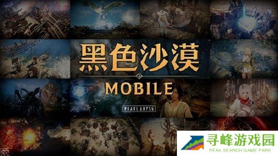 黑色沙漠手游怎么换职业  国服切换职业方法详解图片1