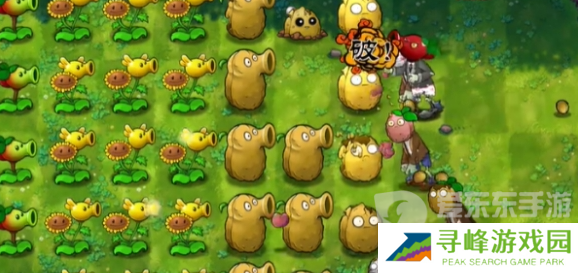 植物大战僵尸融合版冒险模式第5关怎么过 冒险模式第5关通关攻略