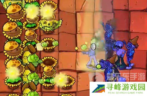 植物大战僵尸杂交版挑战模式第8关怎么过 挑战模式第8关通关方案
