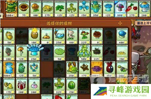 植物大战僵尸杂交版挑战模式第16关怎么过 第16关图文通关流程