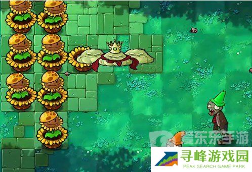 植物大战僵尸杂交版挑战模式第16关怎么过 第16关图文通关流程