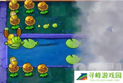 植物大战僵尸杂交版挑战模式第2关怎么过 第2关图文攻略