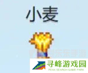 星露谷物语什么酒最赚钱 星露谷物语酒类价格排行