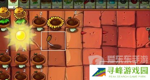 植物大战僵尸杂交版贴图异常怎么办 贴图异常解决方法介绍