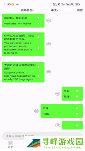 极致语言翻译器