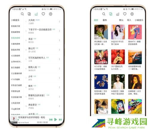 洛雪音乐安卓版