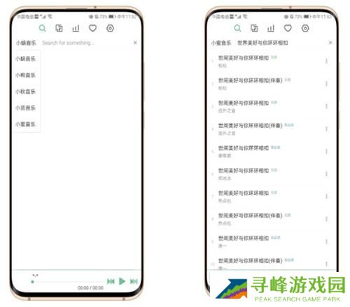 洛雪音乐安卓版