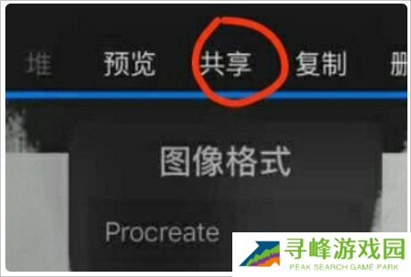 procreate绘画软件
