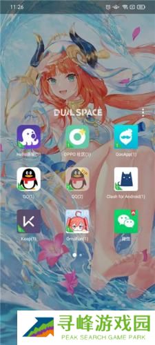 DualSpace