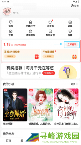 百度大字极速版