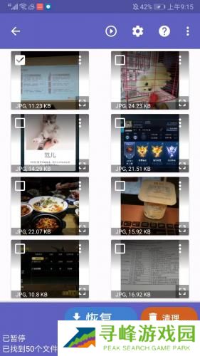 Diskdigger Pro安卓版