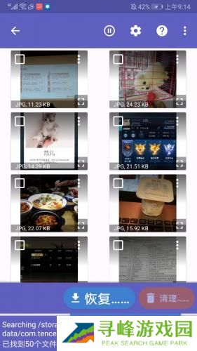 Diskdigger Pro安卓版