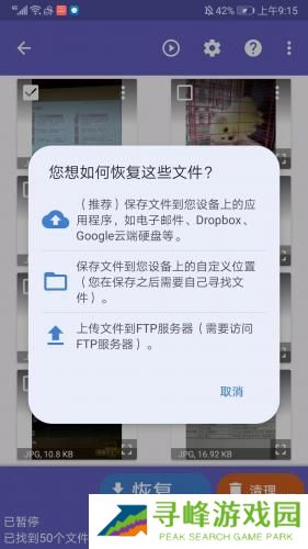 Diskdigger Pro安卓版