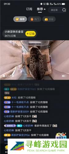 街猫