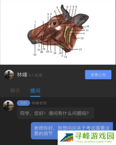 兽课网