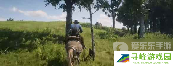荒野大镖客2隐藏技巧推荐 荒野大镖客2玩法技巧