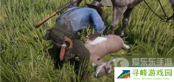 荒野大镖客2隐藏技巧推荐 荒野大镖客2玩法技巧