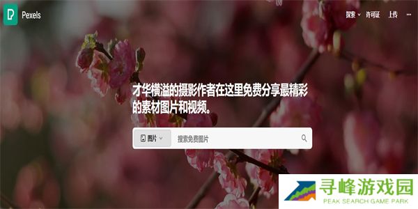 Pexels手机版
