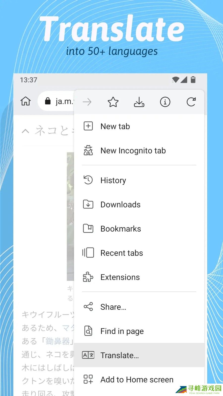 kiwibrowser