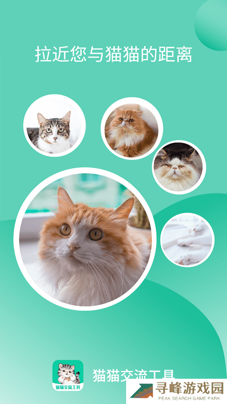 猫猫软件