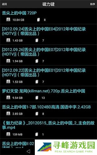 p2p搜索器