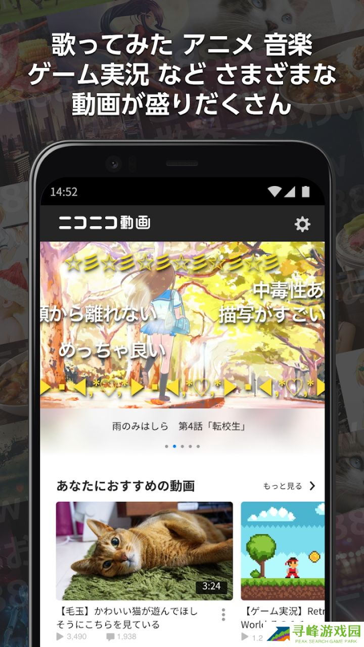 n站