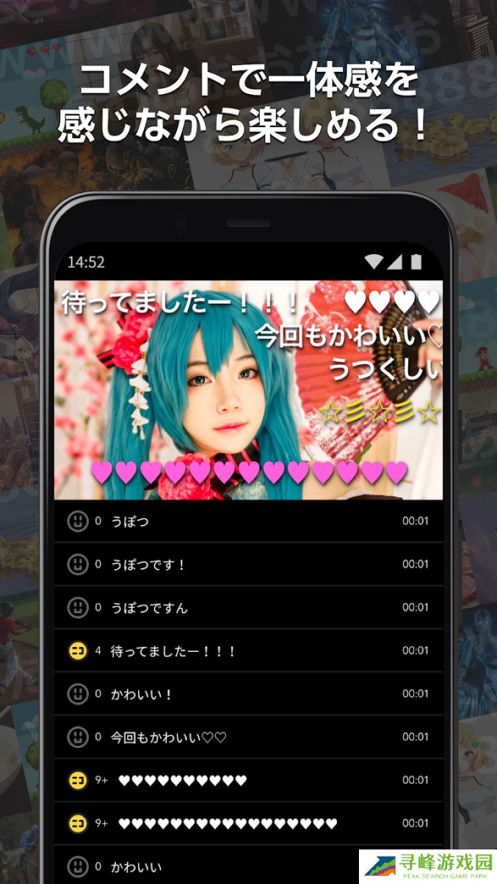 n站